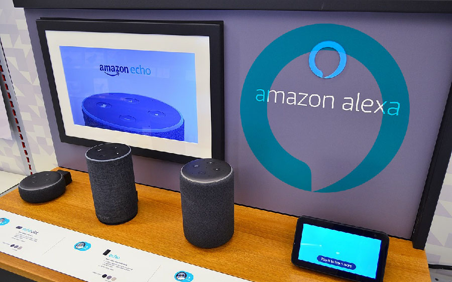 videoportero compatible alexa